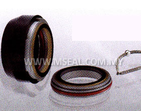 FLYGT Mechanical Seal